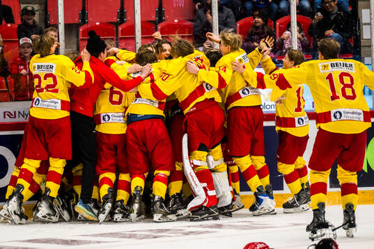 Smålands spelare jublar