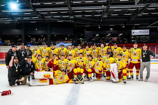 Smålands spelare jublar
