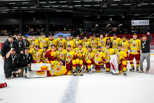 Smålands spelare jublar