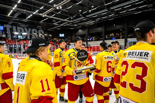 Smålands spelare jublar