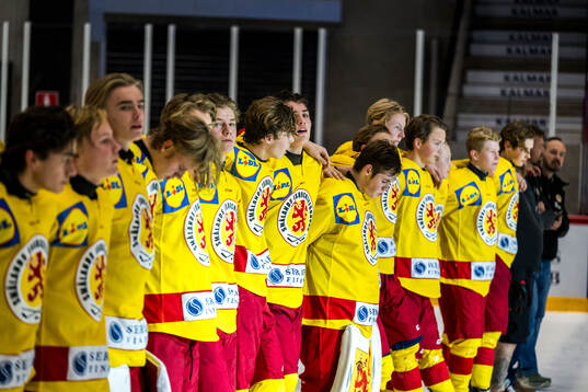 Smålands spelare jublar