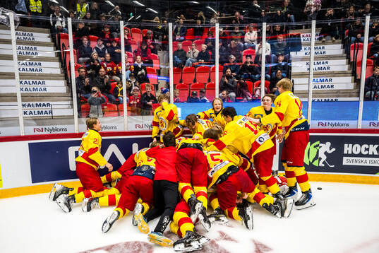Smålands spelare jublar