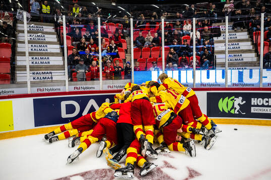 Smålands spelare jublar