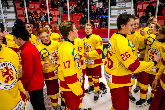 Smålands spelare jublar