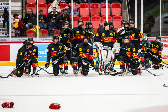 Skånes spelare deppar