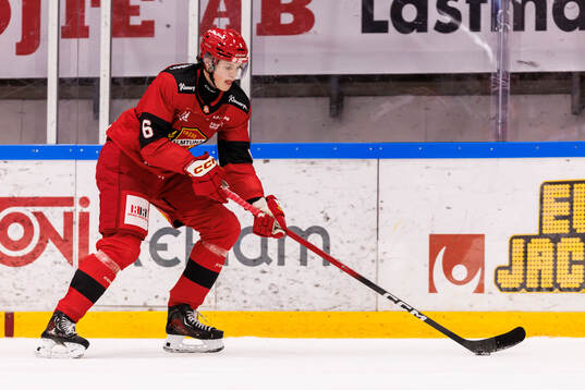Almtunas Ludvig Georgsson