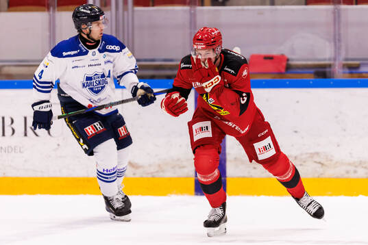 Almtunas Edvin Hammarlund