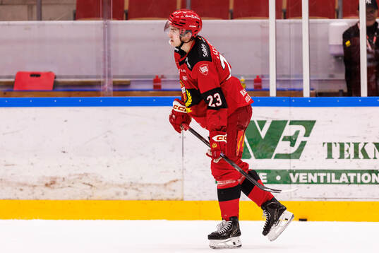 Almtunas Hannes Hellberg deppar