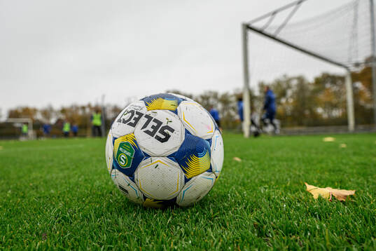En fotboll på gräsmattan
