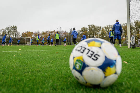 Trelleborgs spelare