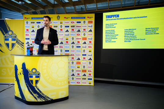 Head coach Daniel Bäckström of the Swedish