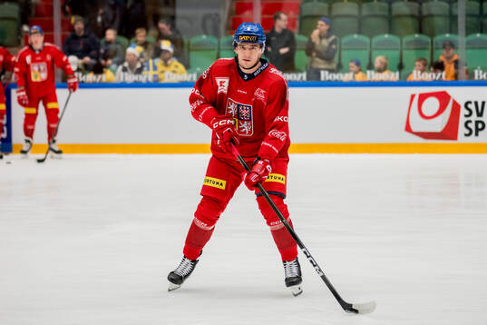 Libor Hájek of Czech Republic