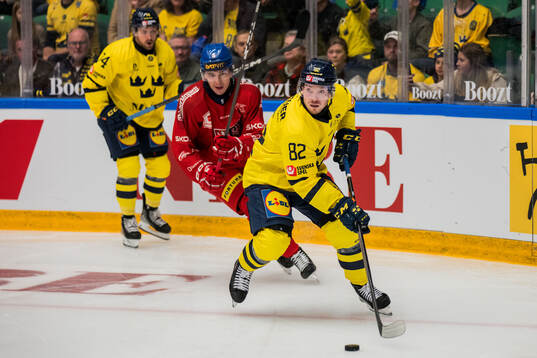 Jesper Frödén of Sweden and Libor Hájek of Czech Republic