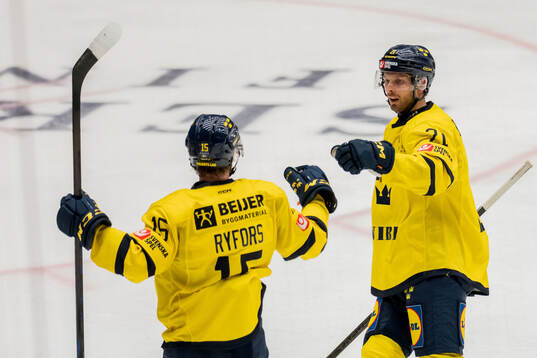 Christoffer Ehn and Simon Ryfors of Sweden celebrate