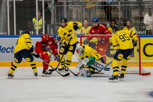 Jakub Flek of Czech Republic and Goalkeeper Arvid Holm of
