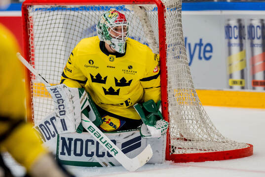 Goalkeeper Arvid Holm of Sweden