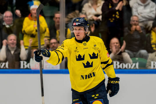 Marcus Sylvegård of Sweden celebrates
