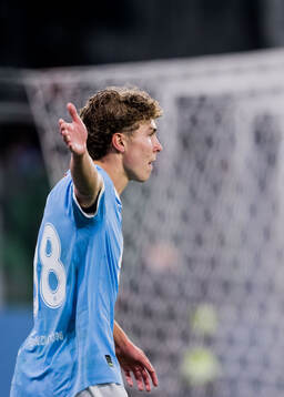 Hugo Bolin of Malmö FF