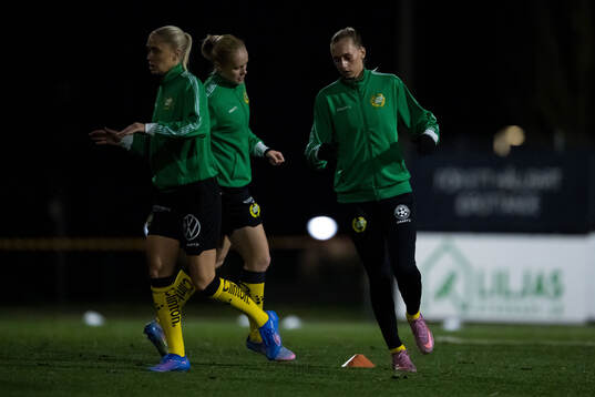 Hammarbys spelare