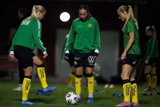 Hammarbys spelare