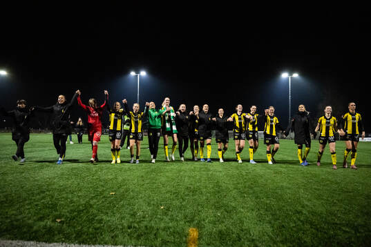 Hammarbys spelare jublar