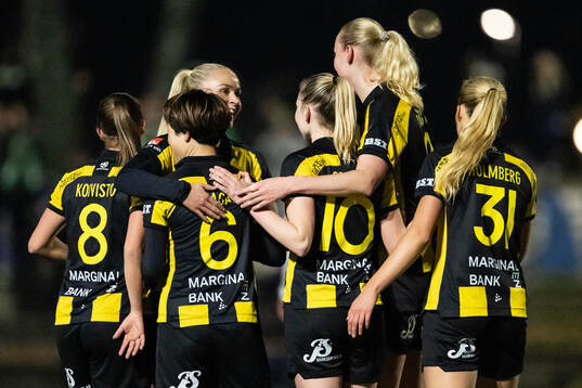 Hammarbys spelare jublar