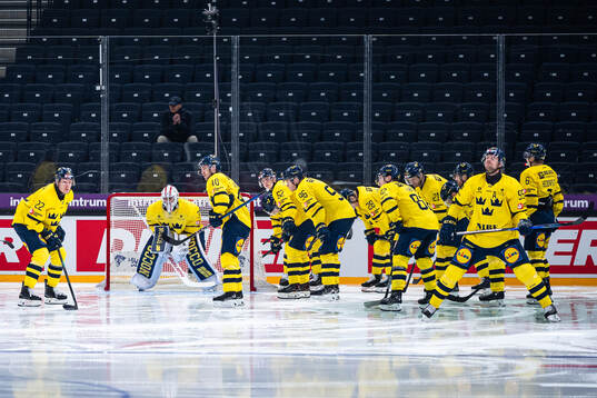 Players of Sweden