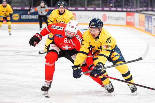 Fabian Heldner of Switzerland and Erik Brännström of