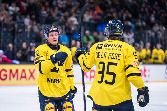 Bläddra bland fler bilder av Ice Hockey, Finland Hockey Games, Sweden - Switzerland