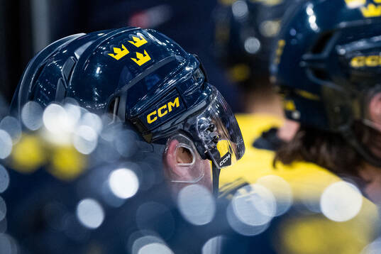 A hockey helmet