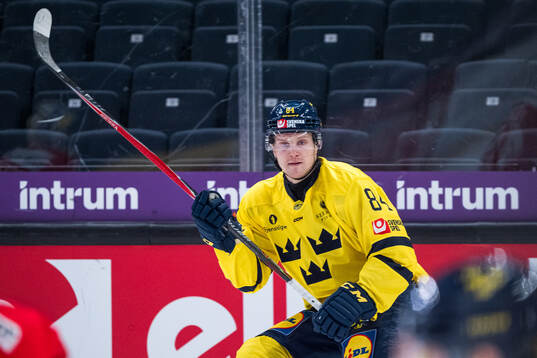 Sebastian Hartmann of Sweden