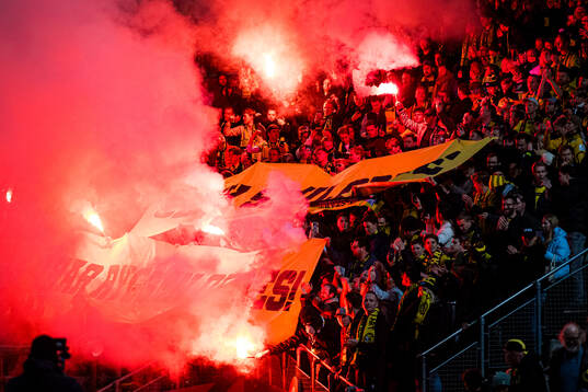 Spectators in the stands