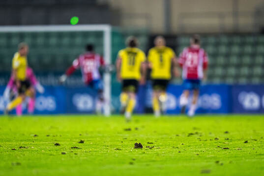 Quality of the grass at Bislett Stadion