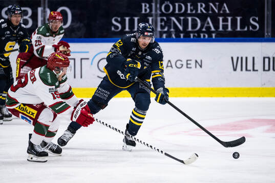 Under ishockeymatchen i Hockeyallsvenskan mellan