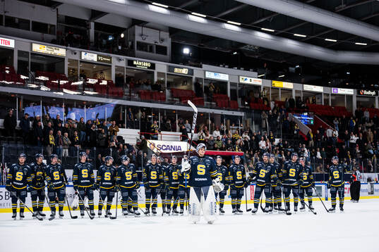 Södertäljes spelare jublar