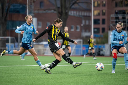 Häckens Tabby Tindell