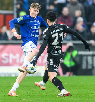 Trelleborgs Karl Wendt
