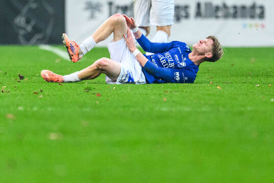 Trelleborgs Karl Wendt