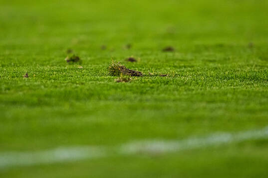 Quality of the grass at Bislett Stadion