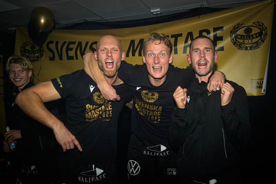 Mjällbys målvakt Alexander Lundin, Alexander Johansson