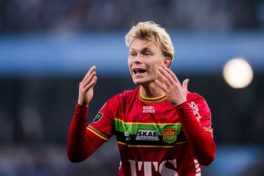 GAISs Rasmus Niklasson Petrovic