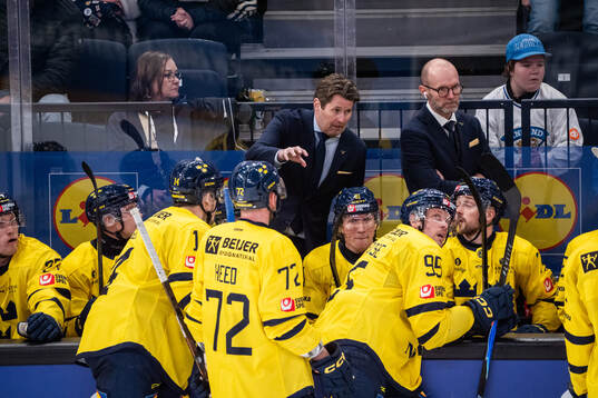 Players of Sweden