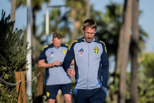 Head coach Graham Potter of the Swedish national football