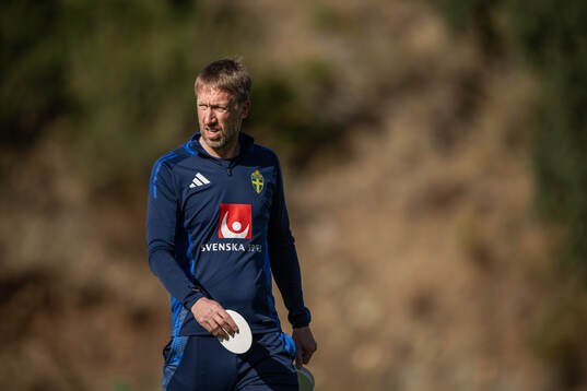 Head coach Graham Potter of the Swedish national football