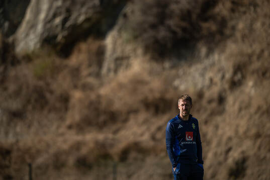 Head coach Graham Potter of the Swedish national football