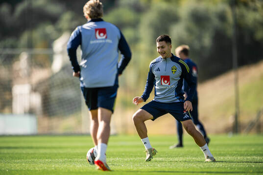 Roony Bardghji of the Swedish national football team