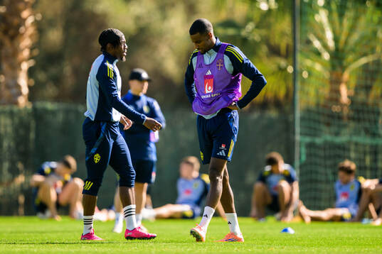 Anthony Elanga and Alexander Isak of the Swedish national