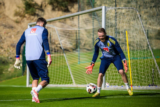 Goalkeepers Kristoffer Nordfeldt and Viktor Johansson of