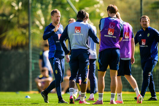 Head coach Graham Potter greets players of the Swedish