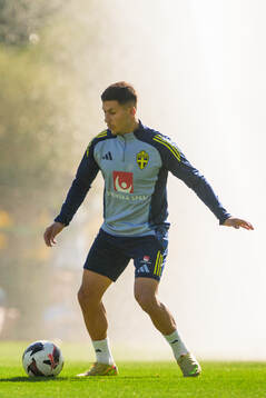 Roony Bardghji of the Swedish national football team